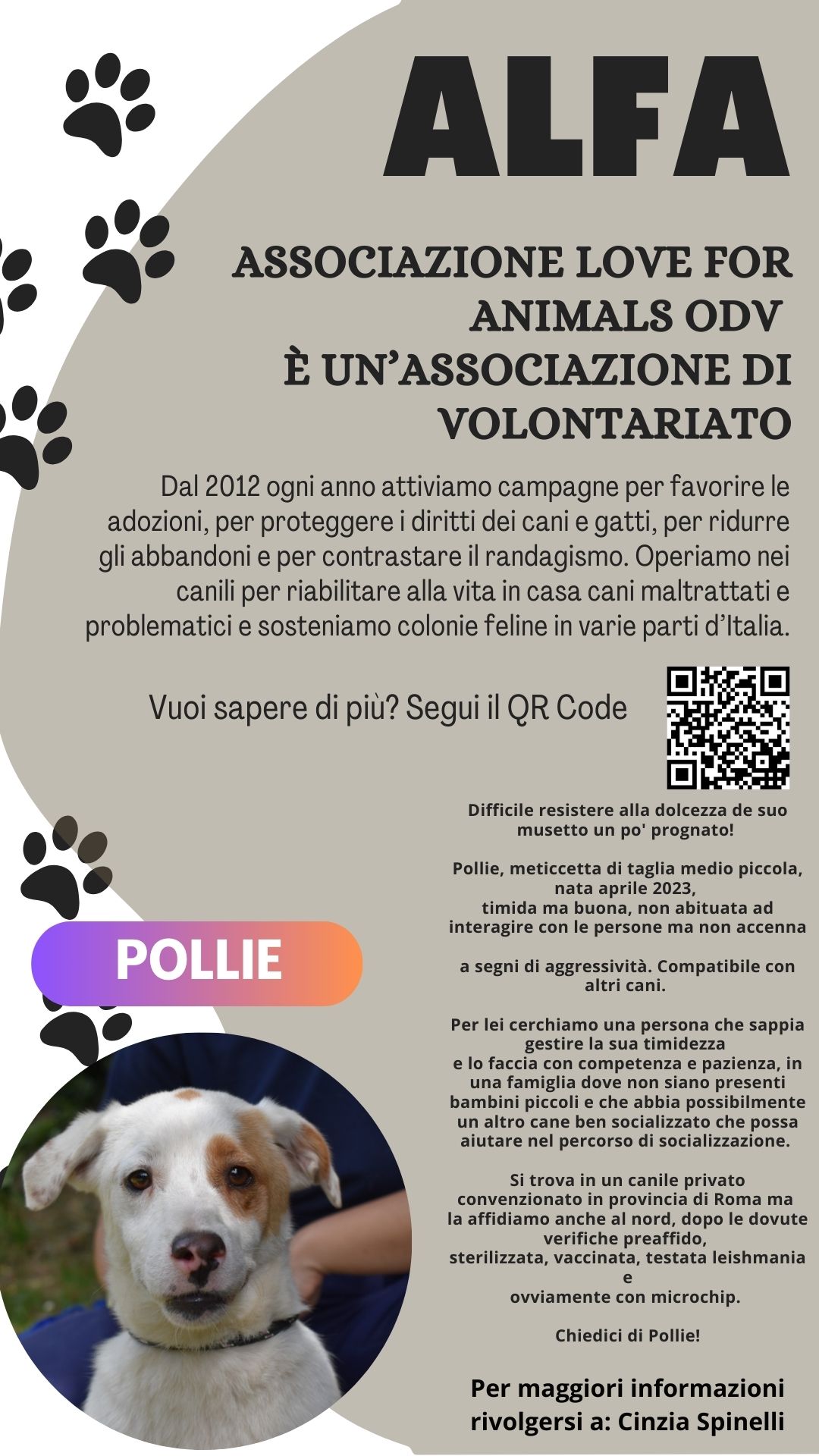 Immagine che contiene testo, Razza di cani, mammifero, cane  Descrizione generata automaticamente